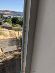 Suspected mold and brownish seepage at windows (C) InspectApedia.com Lila