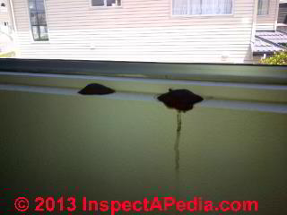 Brown mold on a window sill (C) InspectApedia RC