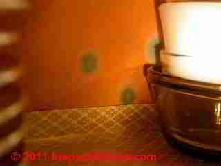 Photo of mold on kitchen cabinet interior surfaces (C) Daniel Friedman