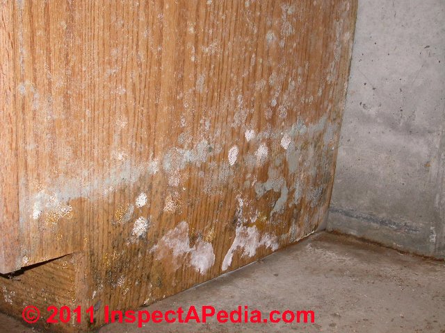 Photographs Of Mold Growth On Different Materials Mold On Baskets