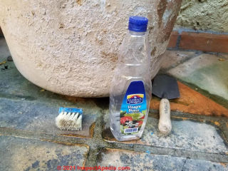 Using vinegar to clean off cactus scale (C) Daniel Friedman at InspectApedia.com