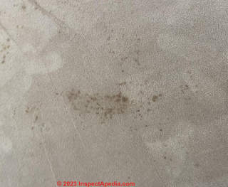 carpet mold stains (C) InspectApedia.com Tracey