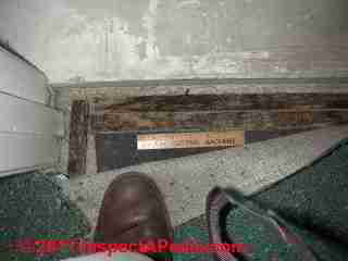Photo of mold on carpet tack strips and carpet padding and underside of carpeting (C) Daniel Friedman
