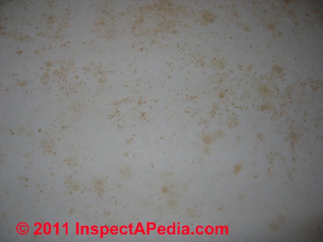 Photographic Guide To Mold Mold Growth On Or In Cars Rvs Boats