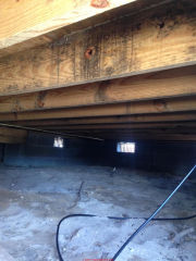 possible mold stains on joists in crawl space (C) InspectApedia.com Birch