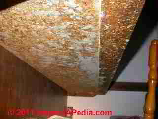 Photo of mold hidden on underside of kitchen counter  (C) Daniel Friedman