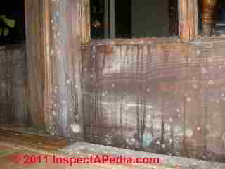 Photo of mold on the varnished or polyurethane coated surface of French Doors (C) Daniel Friedman