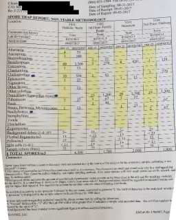 Example mold air test report (C) InspectApedia