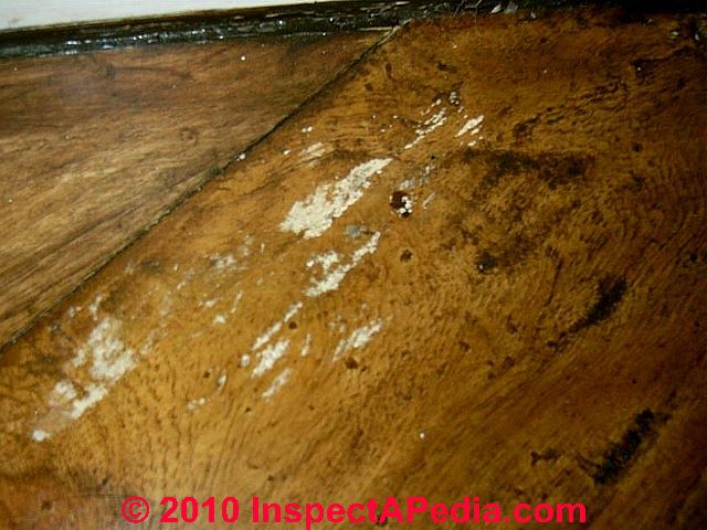 mold flooring hardwood wood floor clean surface possible moldy sand finish inspectapedia shows left