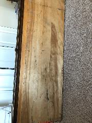 Mold stains on wood