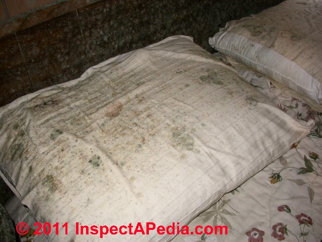 how to remove mold from bed sheets