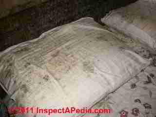 Photo of mold on pillows and pillowcases on a bed (C) Daniel Friedman