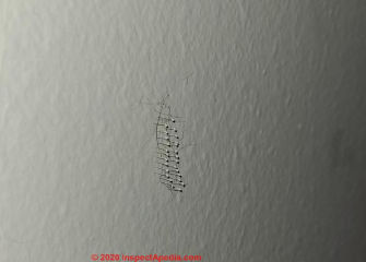 Hairy deposit on painted wall - not mold (C) InspectApedia.com Amber