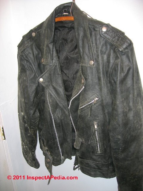 clean leather jacket fungus clean Salvage contents: or moldy & how sort building to