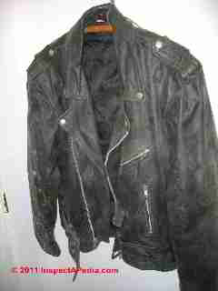 Moldy leather jacket © D Friedman at InspectApedia.com 