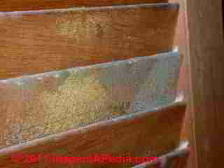 Photo of mold on a solid wood louvered door  (C) Daniel Friedman