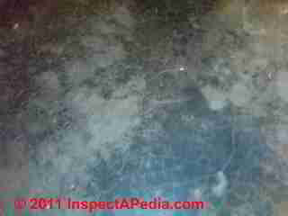 Photo of mold on concrete block foundation wall (C) Daniel Friedman