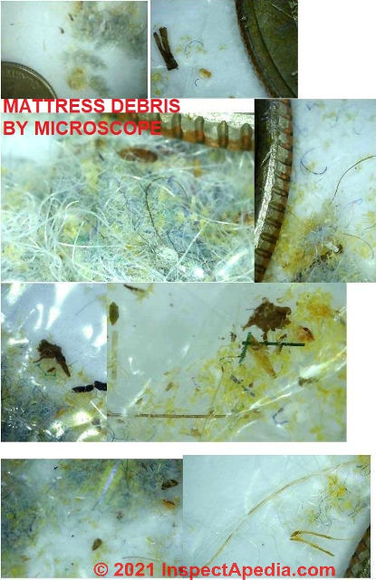 Mattress debris under the microscope (C) InspectApedia.com anon 
