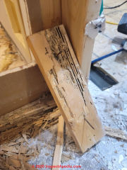 Meruliporia and termite damage in a wood-framed home (C) InspectApedia.com Chuck