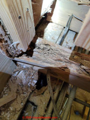 Meruliporia and termite damage in a wood-framed home (C) InspectApedia.com Chuck