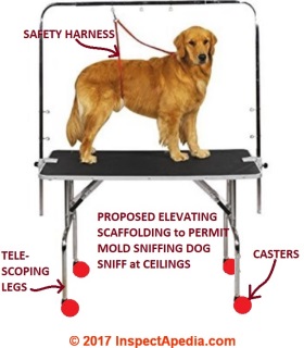 Telescoping mold sniffing dog elevator to permit inspecting ceilings and upper wall areas for hidden mold contamination (C) InspectApedia.com