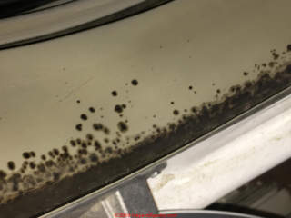 Black mold in an apartment, perhaps on an appliance? (C) InspectApedia.com