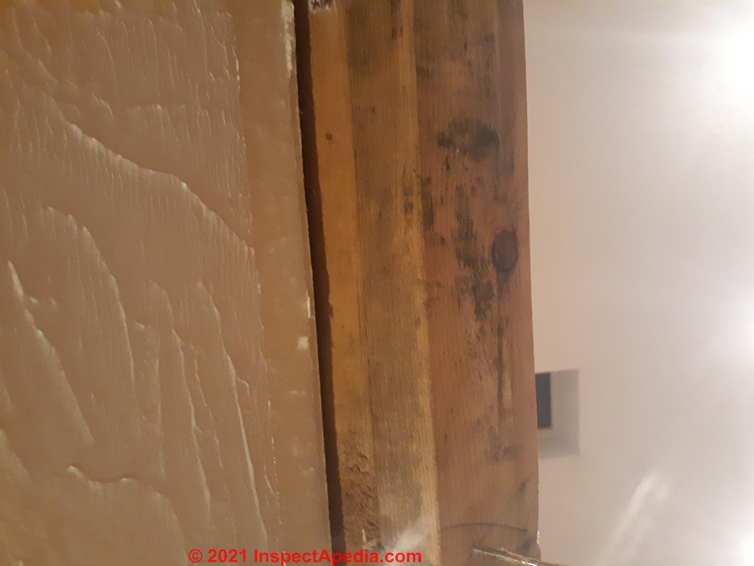 How to Clean Mold on Building Framing Lumber or Plywood Sheathing