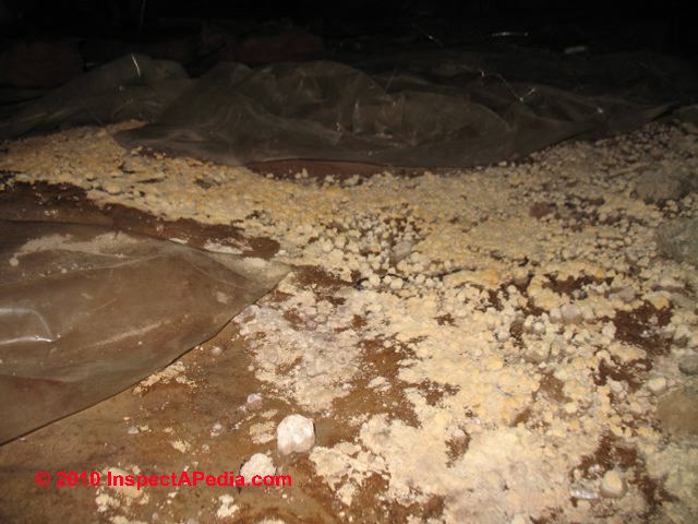 The Significance Treatment Of Mold On Dirt In Crawl Spaces Basements Floors Looking For Mold A How To Photo And Text Primer On Finding And Testing For Mold In Buildings