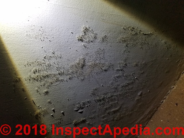 How to Detect Mold Under Black Light?