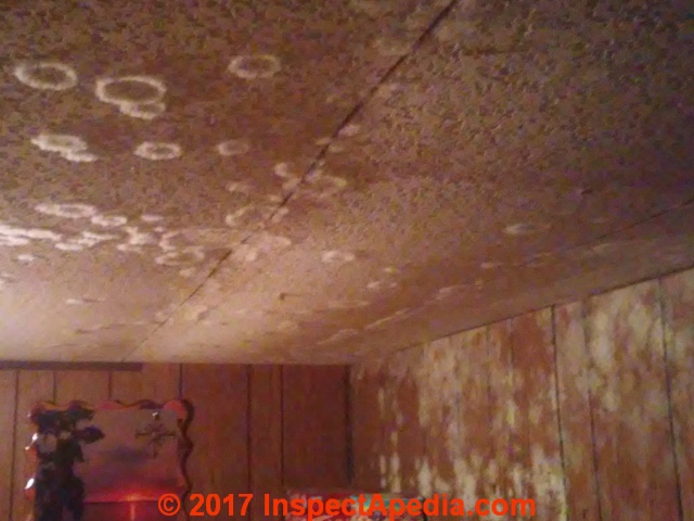 Mold Contamination In New Modular Homes Case Report Finding