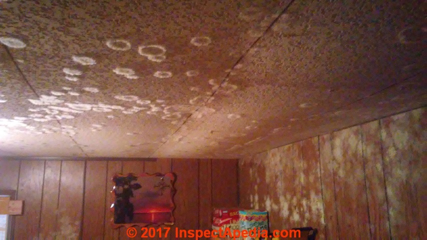 Mold Contamination In New Modular Homes Case Report Finding