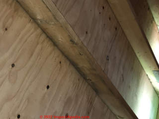 Moldy plywood in new construction (C) InspectApedia.com Kristin