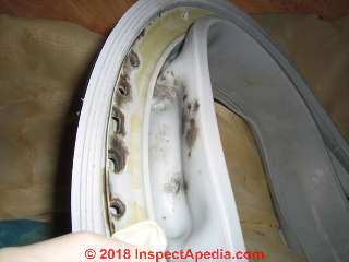 Moldy clothes wasther gasket and door (C) InspectApedia.com Monica M