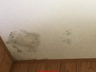 Green and other molds on a ceiling below a reported Air Conditioner leak (C) InspectApedia.com anon