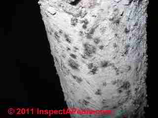 Photo of mold on asbestos pipe in sulation (C) Daniel Friedman