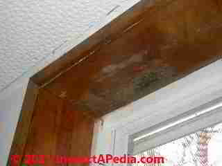 Mold growth on wood window trim (C)  Daniel Friedman
04-11-01