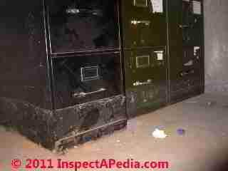 Photo of mold on flooded steel file cabinets(C) Daniel Friedman