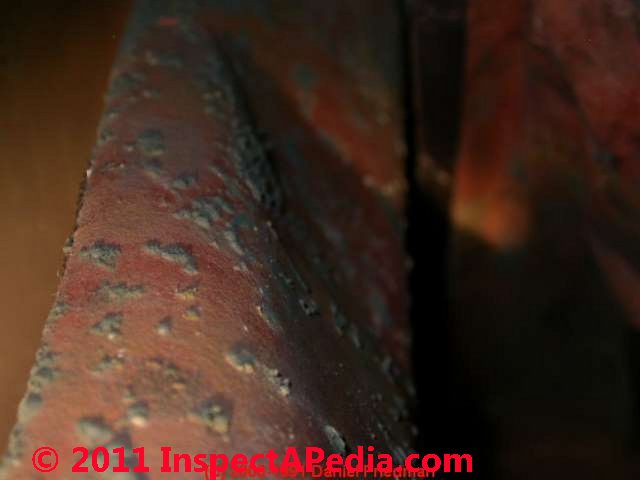 Photo of mold on file folder in steel cabinets  (C) Daniel Friedman