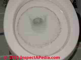 Photo of mold on porcelain surfaces (a toilet)  (C) Daniel Friedman