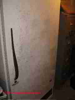 Photo of mold on the refrigerator door(C) Daniel Friedman