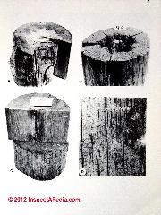 Types of wood decay from Wang and Zabel cited and discussed at InspectApedia.com