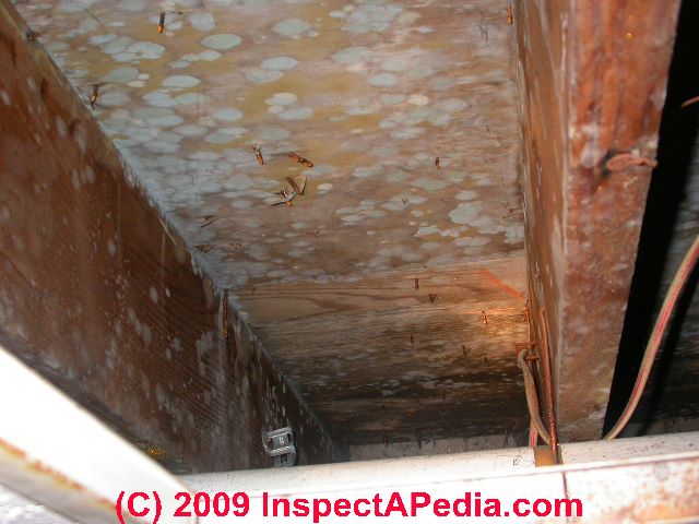 Hidden Mold In Building Framing Or Sheatyhing How To Evaluate Clean Kill Or Remove Mold Trapped Between Building Surfaces