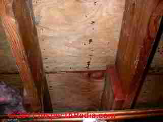 Photo of mold on subfloor, plywood(C) Daniel Friedman
