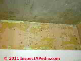 Photo of mold on wall surface where wallpaper was removed  (C) Daniel Friedman