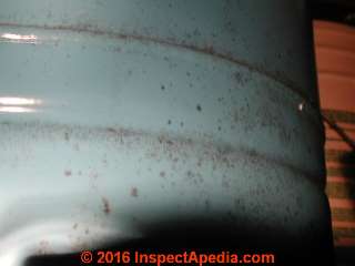Mold on painted surface of water pressure tank (C) Daniel Friedman