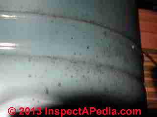  Photo of mold on water heater tank surface  (C) Daniel Friedman