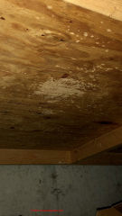 White mold on plywood shelving under-side (C) InspectApedia.com Anon