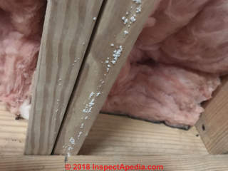 White material, probably mold, on basement or crawl space joists (C) InspectApedia.com Matt