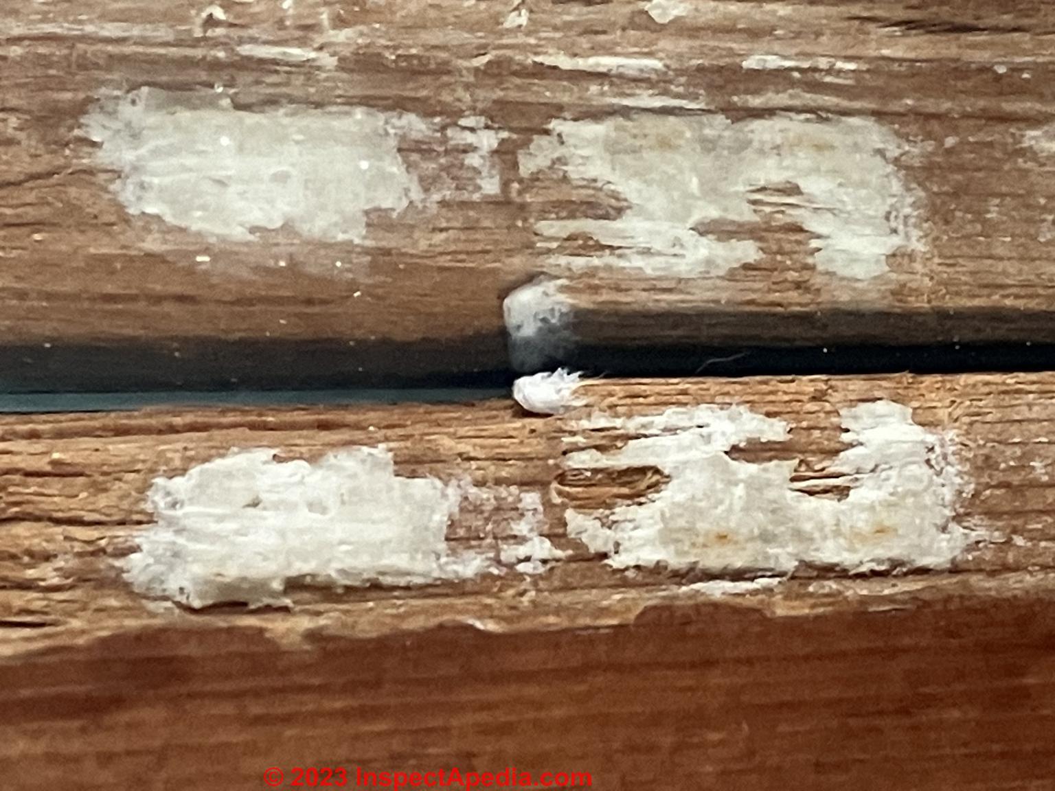 window frame residue (C) InspectApedia.com Mary R