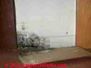 Photo of mold on drywall behind wood baseboard floor tirm  (C) Daniel Friedman